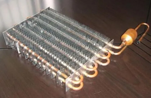 ǥ��¯ǥ��������